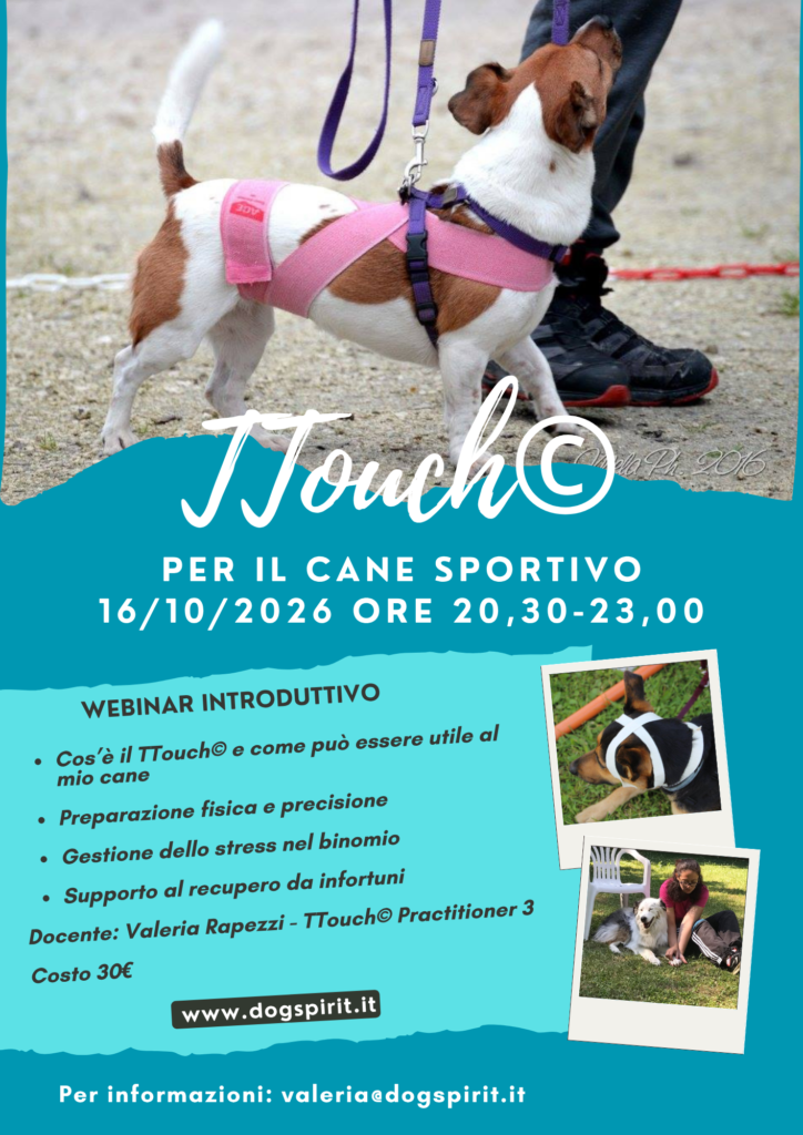 Webinar TTouch per il cane sportivo