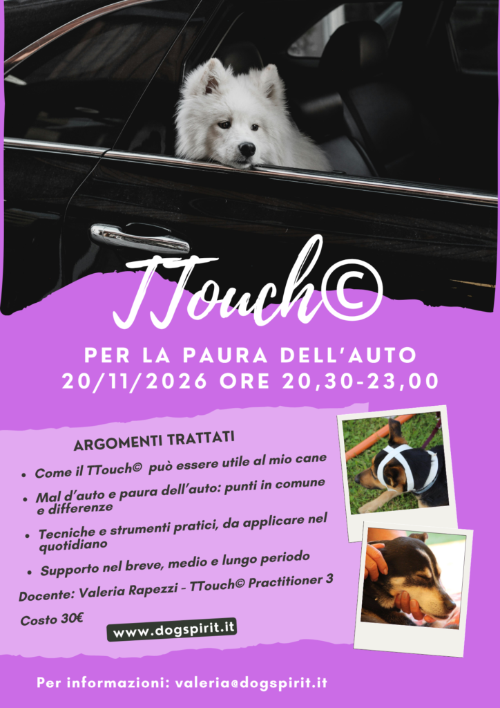 Webinar TTouch per la paura della macchina 20 novembre 2026 con Valeria Rapezzi