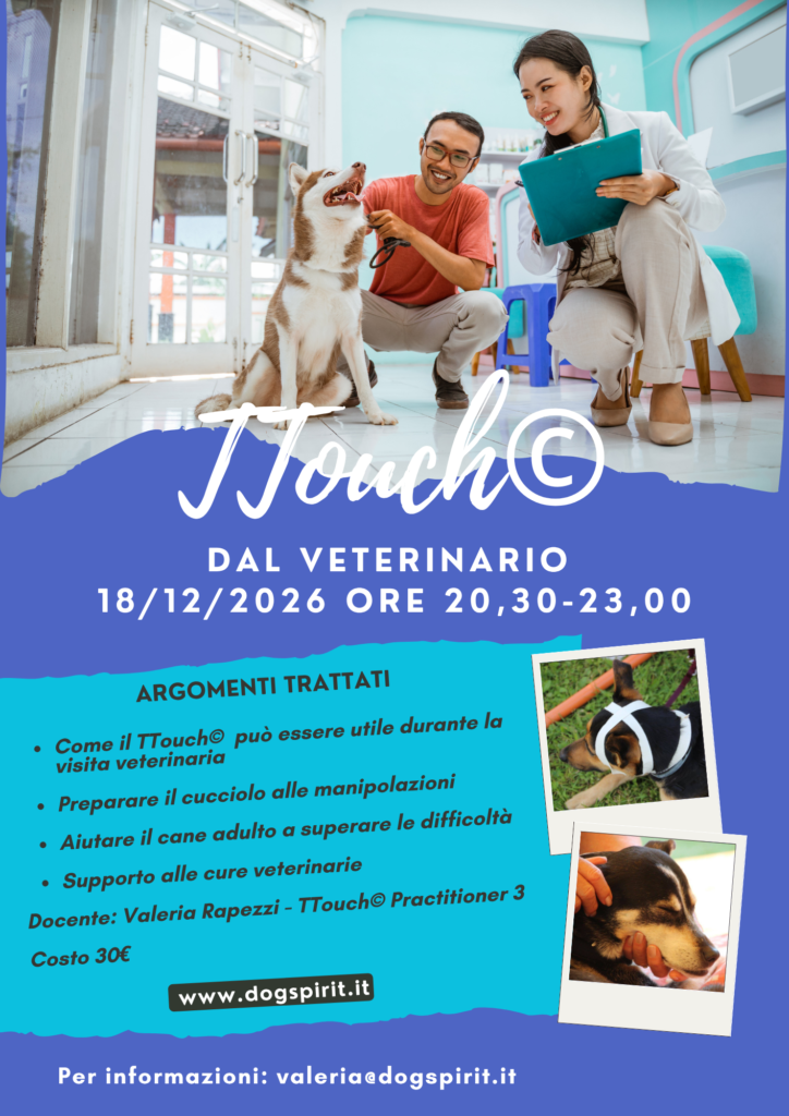 Webinar Il TTouch dal veterinario 18 dicembre 2026 con Valeria Rapezzi